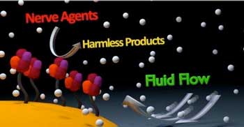 Enzyme nanobots pump fluid and convert nerve agents into harmless products.