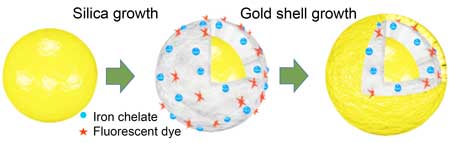 illustration showing how dyes and iron ions are added to nanomatryoshkas