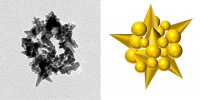 Electron microscope image of M13 spheroid-templated spiky gold nanobead with corresponding graphical illustration