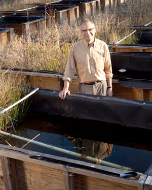 Mark Wiesner stands with rows of mesocosms