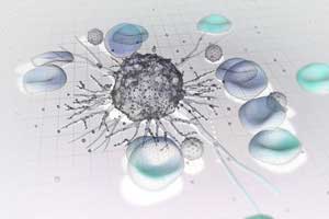 Cancer can spread in the body through cancer stem cells traveling in the bloodstream