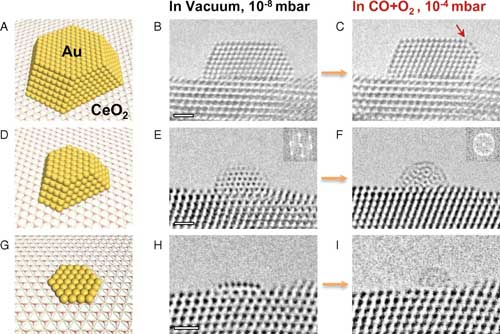 Dynamic structural changes of various gold nanostructures