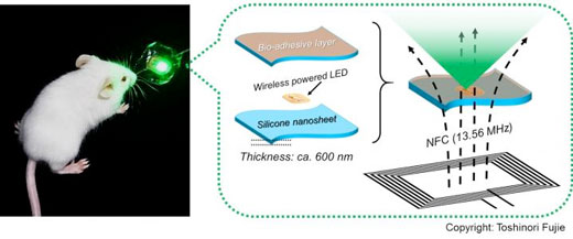 Bioadhesive, Wirelessly-powered Implant