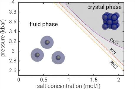 Pressure–salt concentration phase diagram of AuNP@PEG
