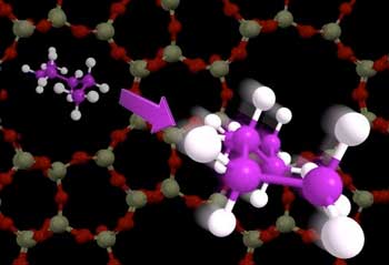 Hexane, a molecule with six carbon atoms
