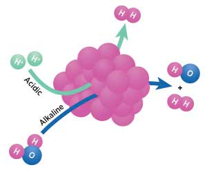Cobalt phosphides (pink) catalyzing the hydrogen evolution reaction in acidic and alkaline media