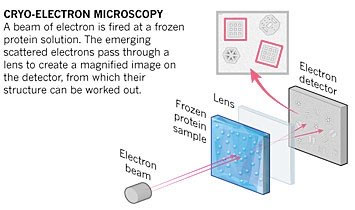 A schematic of cryo-electron microscopy