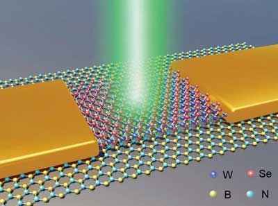Schematic illustration of the optoelectronic memory device fabricated by layering a monolayer WSe2 on a 20-layer BN