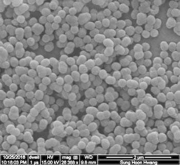 Packed, micron-scale calcium silicate spheres