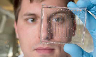 James Dahlman holds a microfluidic chip