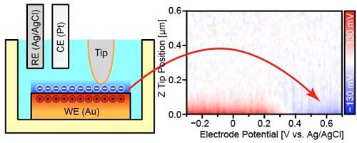 Charge accumulation behavior at the Au-electrolyte interface was visualized by three-dimensional open-loop electric potential microscopy with varying electrode potential