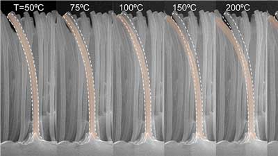 Bending of nano-bimorph under temperature change