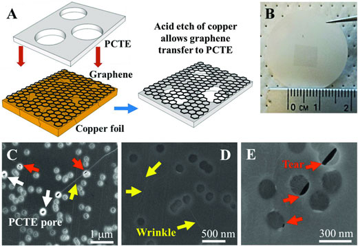 Polymer-free graphene transfer to polycarbonate track etched (PCTE) supports