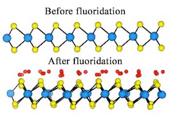 Fluoridating two-dimensional tungsten disulfide adds metallic islands to the synthetic semiconductor