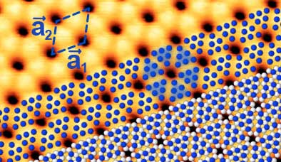 The STM image shows blue phosphorus on a gold substrate