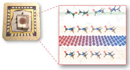 thermal properties of graphene nanofluids