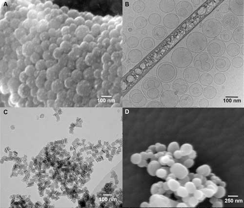 Polylactic-co-glycolic acid (PLGA) particles, B: mesoporous silica nanoparticles (MSNs), C: gelatine nanoparticles and D: liposomes