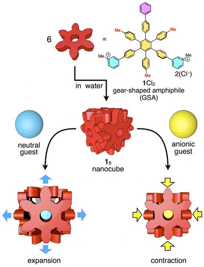 Hexaphenylbenzene Nanocube Hosting Different Guest Molecules