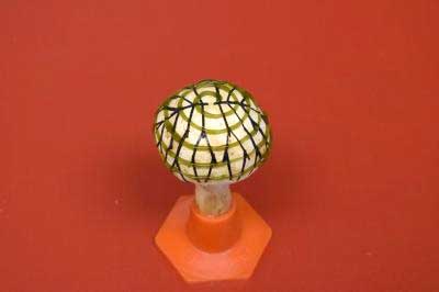 white button mushroom equipped with 3D- printed graphene nanoribbons