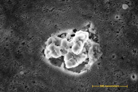 scanning electron micrograph showing a cluster of silver nanoparticles