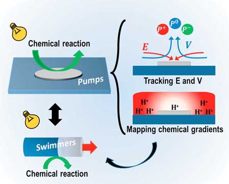 Mechanisms of Chemically Propelled Motors with Micropumps