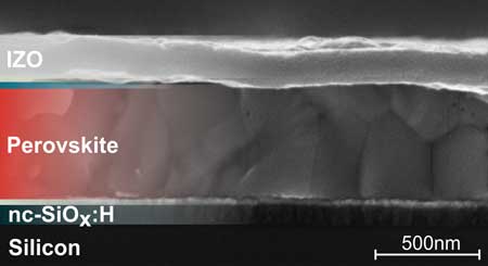 SEM image shows the cross-section of a silicon perovskite tandem solar cell