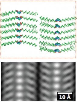 The simulated atomic-scale structure (top) and the averaged atomic-scale imaging (bottom) of a peptoid polymer sample