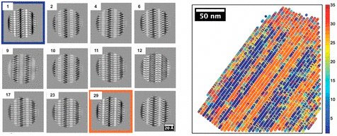 a colorized map (right) shows the distribution of different types of crystal structures (left) found in a polymer peptoid sample