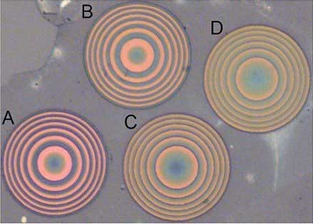 Four ultrathin metalenses visualized under a microscope