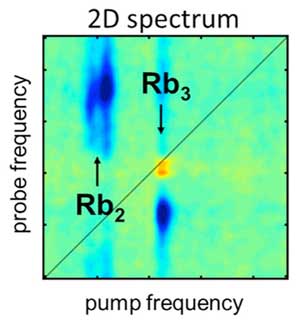 2D-spectroscopy illustrates the light-induced reactions of Rubidium molecules in various color spectrums