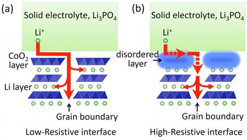 Conduction Path of Li Ions at the Solid-Electrolyte/Electrode Interface