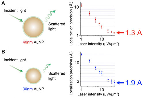 Angstrom localization precision of gold nanopartcle