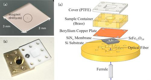 nanomembrane