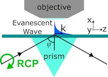 right-handed circularly polarized (RCP) light