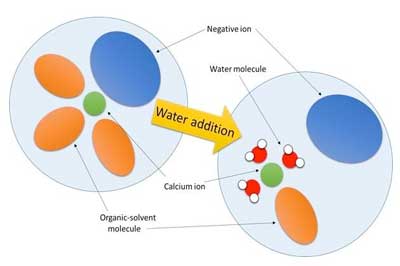 Changes in Electrolyte Structure Due to Water Addition