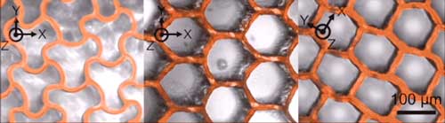 Liquid crystal elastomers deform in response to heat