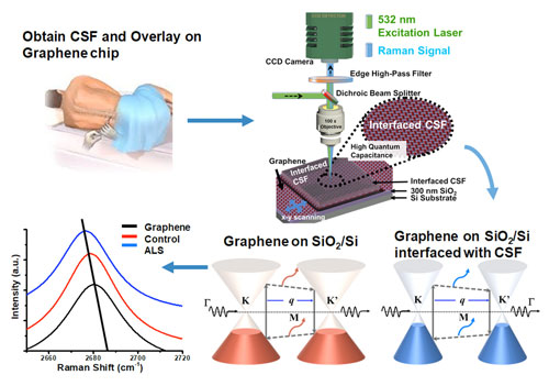 How graphene can be used to detect ALS biomarkers from cerebrospinal fluid