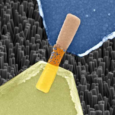 Single Nanowire Memristor