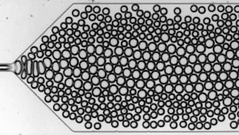A foam with bubbles in two distinct sizes is contained in a microfluidic device