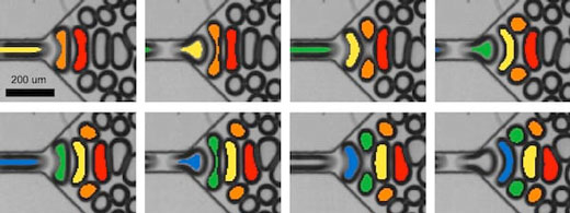 A sequence shows the progression of bidisperse foam generation in a microfluidic device