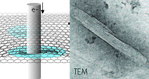 Schematic representation of hydrated microtubule proteins encapsulated between two graphene layers imaged by transmission electron microscopy