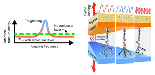 Illustrations of frequency-dependent toughening in a polymer-metal-nanoglue-ceramic composite