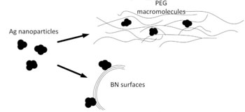 scheme of synthesizing the nanohybrid catalyst from layered boron nitride, silver nanoparticles, and polyethylene glycol