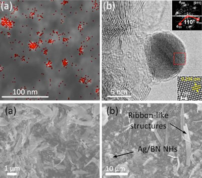 hybrid catalyst from layered boron nitride and silver nanoparticles