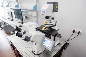 confocal laser scanning microscope