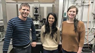 postdoctoral researcher Menahem Rotenberg, doctoral student Ramya Parameswaran and graduate student Kelliann Koehler