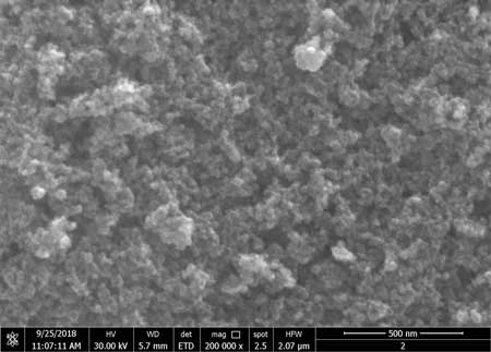 SEM image of iron oxide