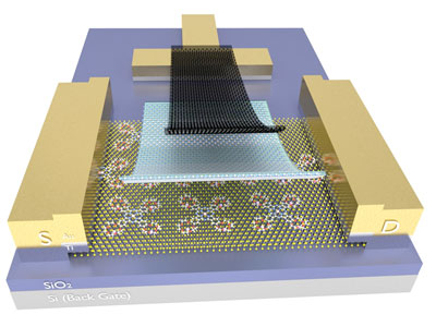 Nanoionic Memory