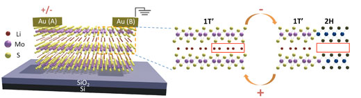 A schematic of the molybdenum disulfide layers with lithium ions between them