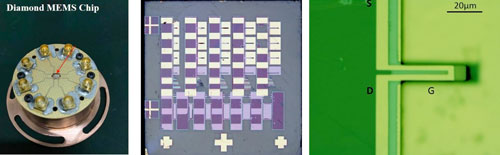 Diamond MEMS Chip